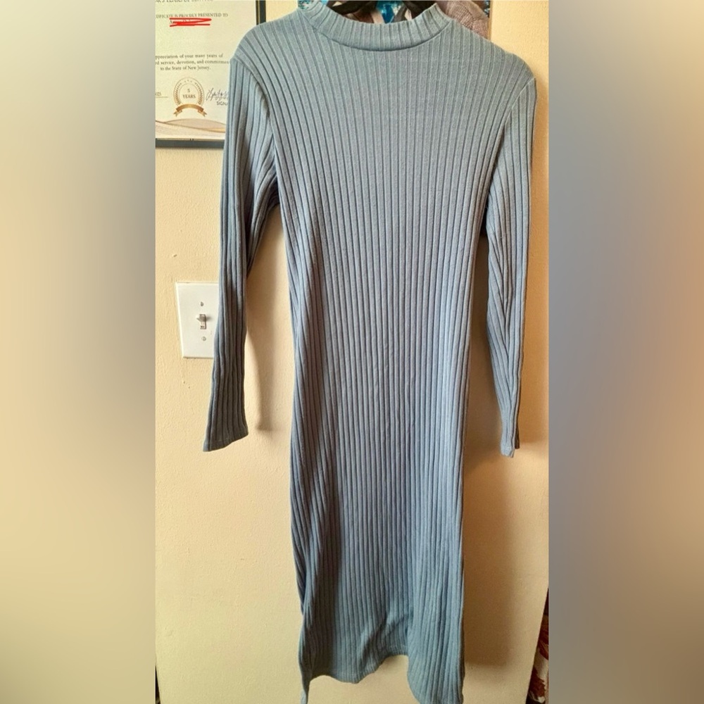 Blue Long Sleeve Bodycon Dress with Bateau Neckline